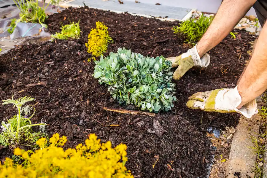 Experienced Mulching Pittsburg, CA Experienced Mulching Pittsburg, CA